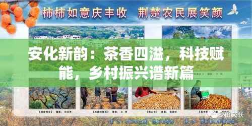 安化新韵:茶香四溢,科技赋能,乡村振兴谱新篇