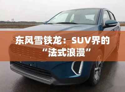 东风雪铁龙：SUV界的“法式浪漫”