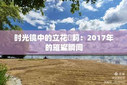 时光镜中的立花瑠莉:2017年的璀璨瞬间