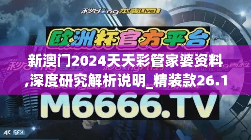 新澳门2024天天彩管家婆资料,深度研究解析说明_精装款26.135