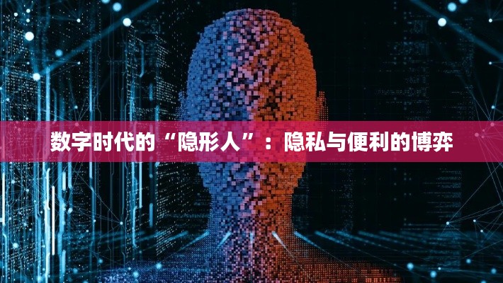 数字时代的“隐形人”:隐私与便利的博弈
