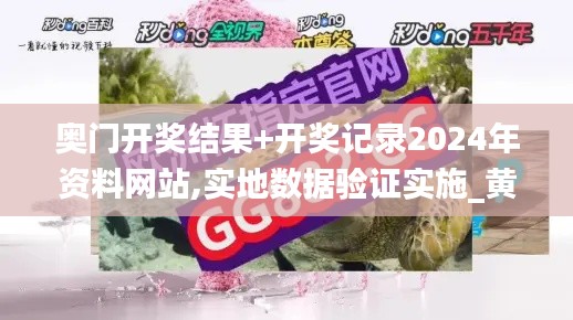 奥门开奖结果+开奖记录2024年资料网站,实地数据验证实施_黄金版116.758