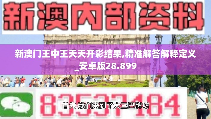 新澳门王中王天天开彩结果,精准解答解释定义_安卓版28.899
