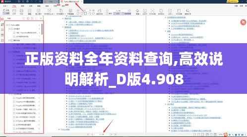 正版资料全年资料查询,高效说明解析_D版4.908