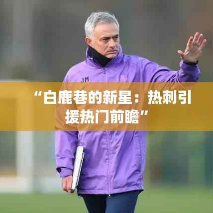“白鹿巷的新星:热刺引援热门前瞻”