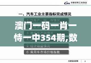 澳门一码一肖一恃一中354期,数据引导计划执行_9DM4.807