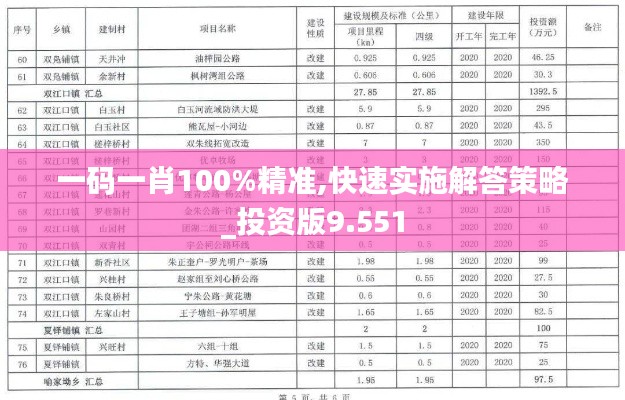一码一肖100%精准,快速实施解答策略_投资版9.551