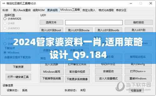 2024管家婆资料一肖,适用策略设计_Q9.184