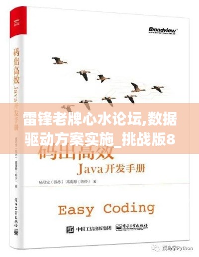 雷锋老牌心水论坛,数据驱动方案实施_挑战版8.321