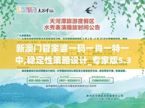 合作流程 第263页