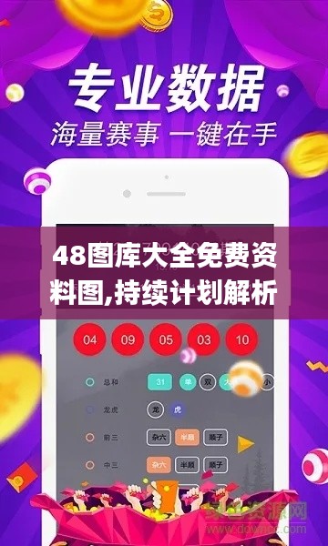 48图库大全免费资料图,持续计划解析_T1.329