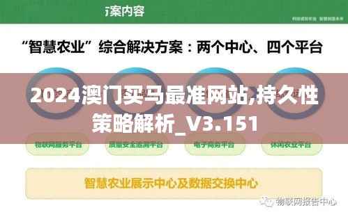 2024澳门买马最准网站,持久性策略解析_V3.151