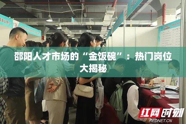 邵阳人才市场的“金饭碗”:热门岗位大揭秘