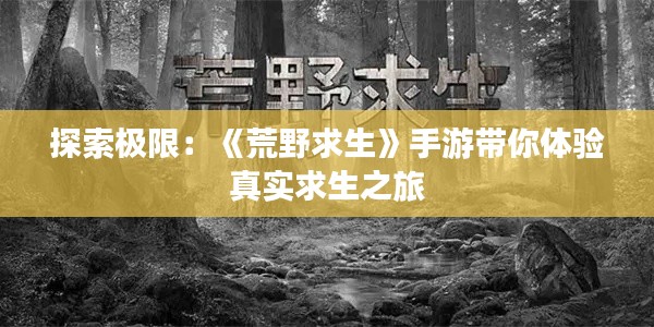 对答如流 第4页