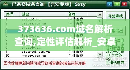 373636.com域名解析查询,定性评估解析_安卓版6.452