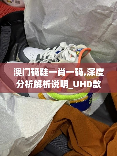 澳门码鞋一肖一码,深度分析解析说明_UHD款7.727