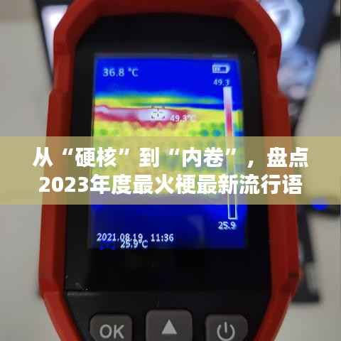 从“硬核”到“内卷”,盘点2023年度最火梗最新流行语