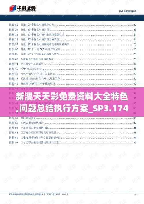 新澳天天彩免费资料大全特色,问题总结执行方案_SP3.174