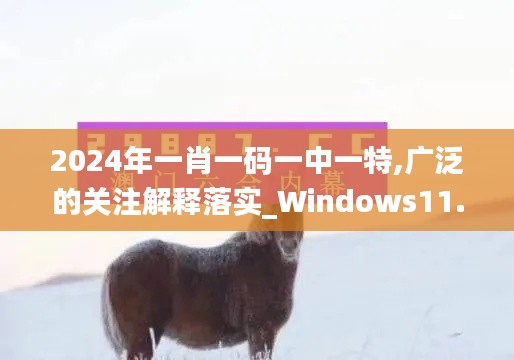 2024年一肖一码一中一特,广泛的关注解释落实_Windows11.441