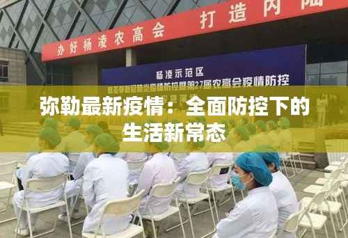 云屯鸟散 第4页