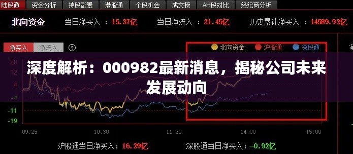 深度解析:000982最新消息,揭秘公司未来发展动向
