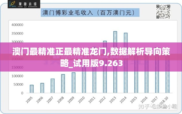 澳门最精准正最精准龙门,数据解析导向策略_试用版9.263