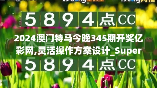 2024澳门特马今晚345期开奖亿彩网,灵活操作方案设计_Superior3.927