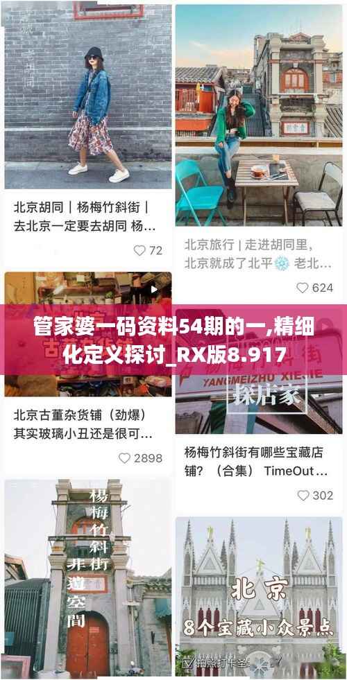 管家婆一码资料54期的一,精细化定义探讨_RX版8.917