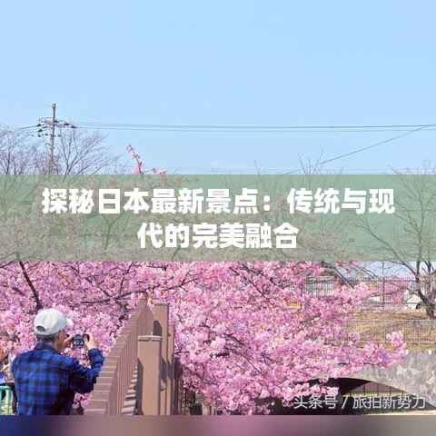 删华就素 第3页