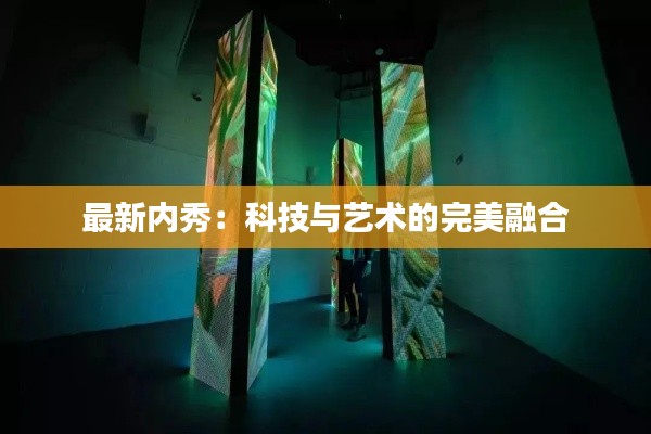 最新内秀:科技与艺术的完美融合