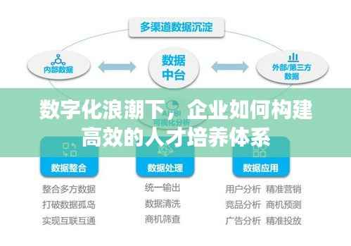 数字化浪潮下,企业如何构建高效的人才培养体系