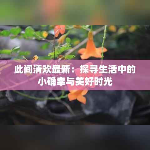 此间清欢最新:探寻生活中的小确幸与美好时光