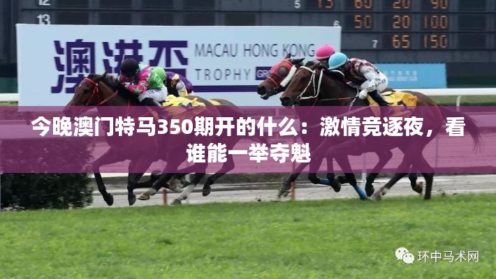 今晚澳门特马350期开的什么:激情竞逐夜,看谁能一举夺魁