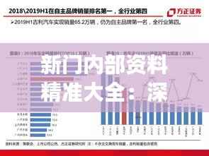新门内部资料精准大全:深度解析行业秘密,提升竞争力