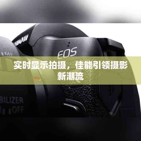 实时显示拍摄,佳能引领摄影新潮流