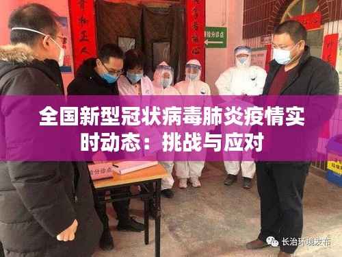 全国新型冠状病毒肺炎疫情实时动态:挑战与应对