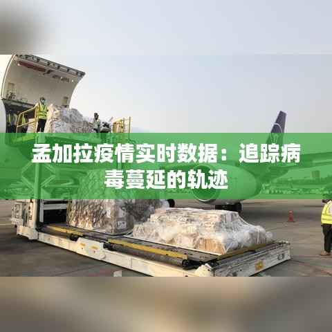 孟加拉疫情实时数据:追踪病毒蔓延的轨迹