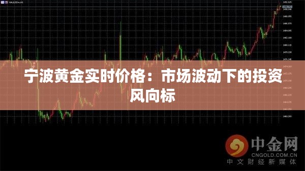 宁波黄金实时价格:市场波动下的投资风向标