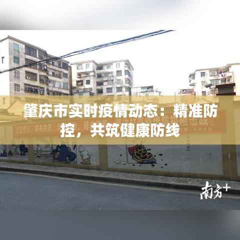 肇庆市实时疫情动态:精准防控,共筑健康防线