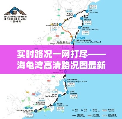 实时路况一网打尽——海龟湾高清路况图最新解析
