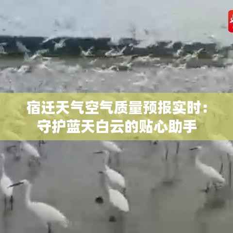 飞檐走壁 第3页