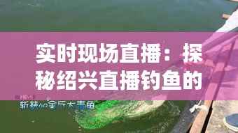 实时现场直播:探秘绍兴直播钓鱼的魅力