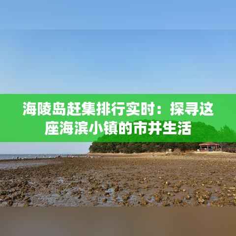 海陵岛赶集排行实时:探寻这座海滨小镇的市井生活