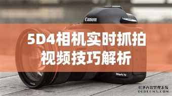 5D4相机实时抓拍视频技巧解析