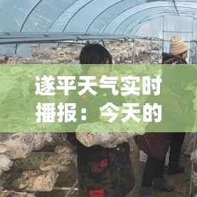 遂平天气实时播报:今天的风雨与阳光