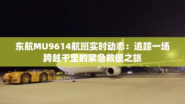 东航MU9614航班实时动态:追踪一场跨越千里的紧急救援之旅