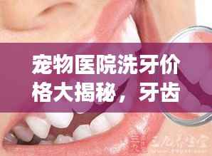 宠物医院洗牙价格大揭秘,牙齿健康不容忽视,为爱宠呵护口腔健康!