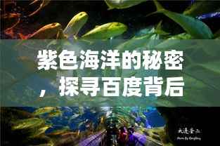 南辕北辙 第3页