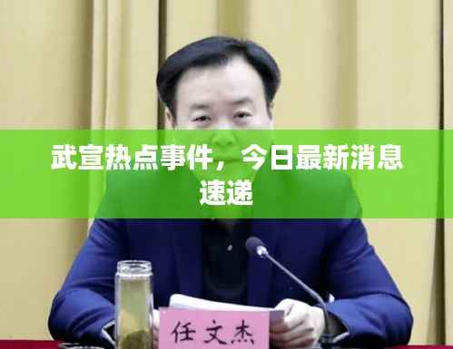 武宣热点事件,今日最新消息速递