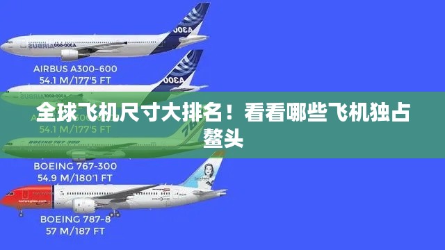 全球飞机尺寸大排名!看看哪些飞机独占鳌头